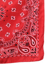 Vintage 2000s Y2K Red Western Paisley Print Small Square Bandana Neck Tie Scarf